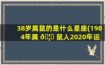 38岁属鼠的是什么星座(1984年属 🦟 鼠人2020年运 🐝 势)